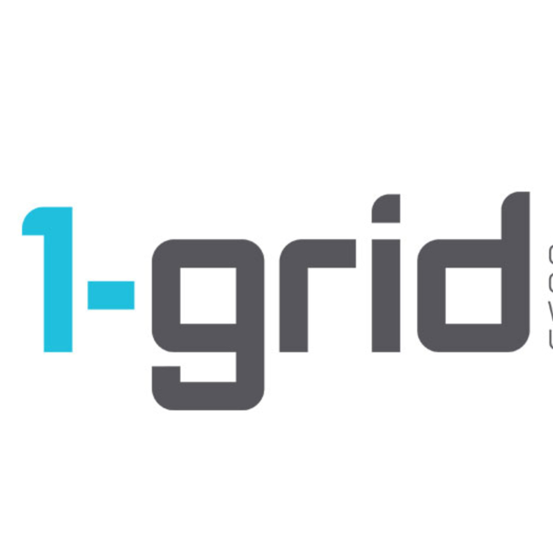 1-grid